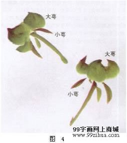 图片 11 图片 11